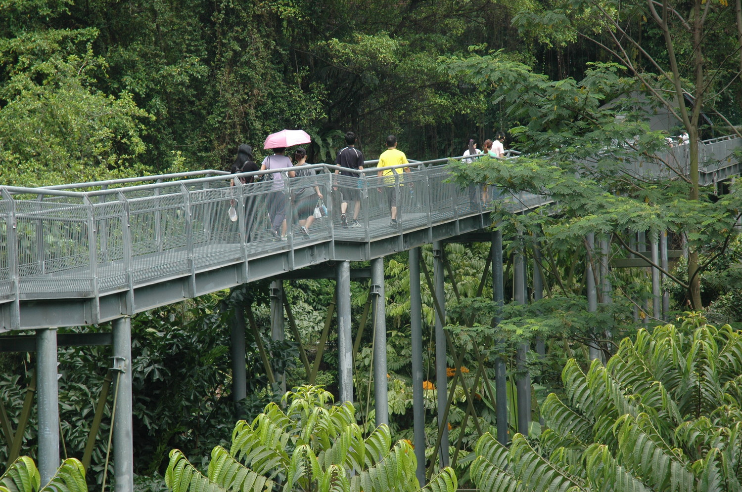 People walking on bridge in Singapore