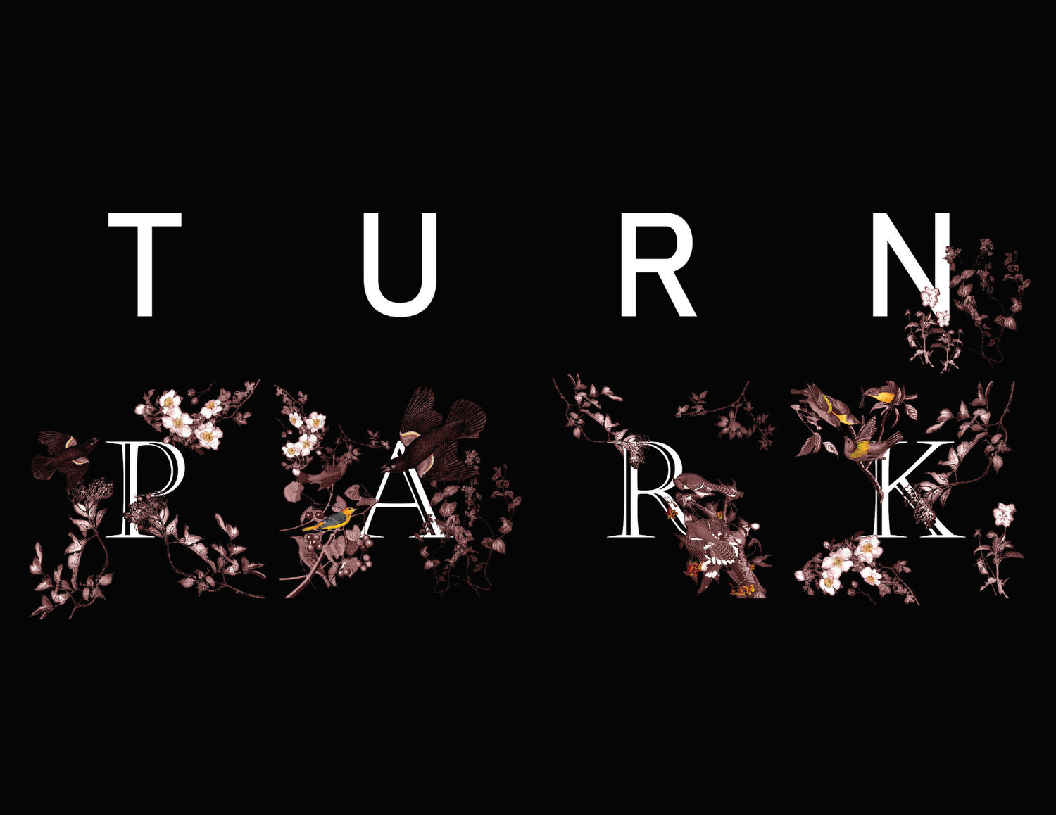 Turn-Park-2.jpg